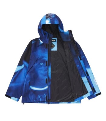 Supreme Nas x DMX Gore-Tex Parka